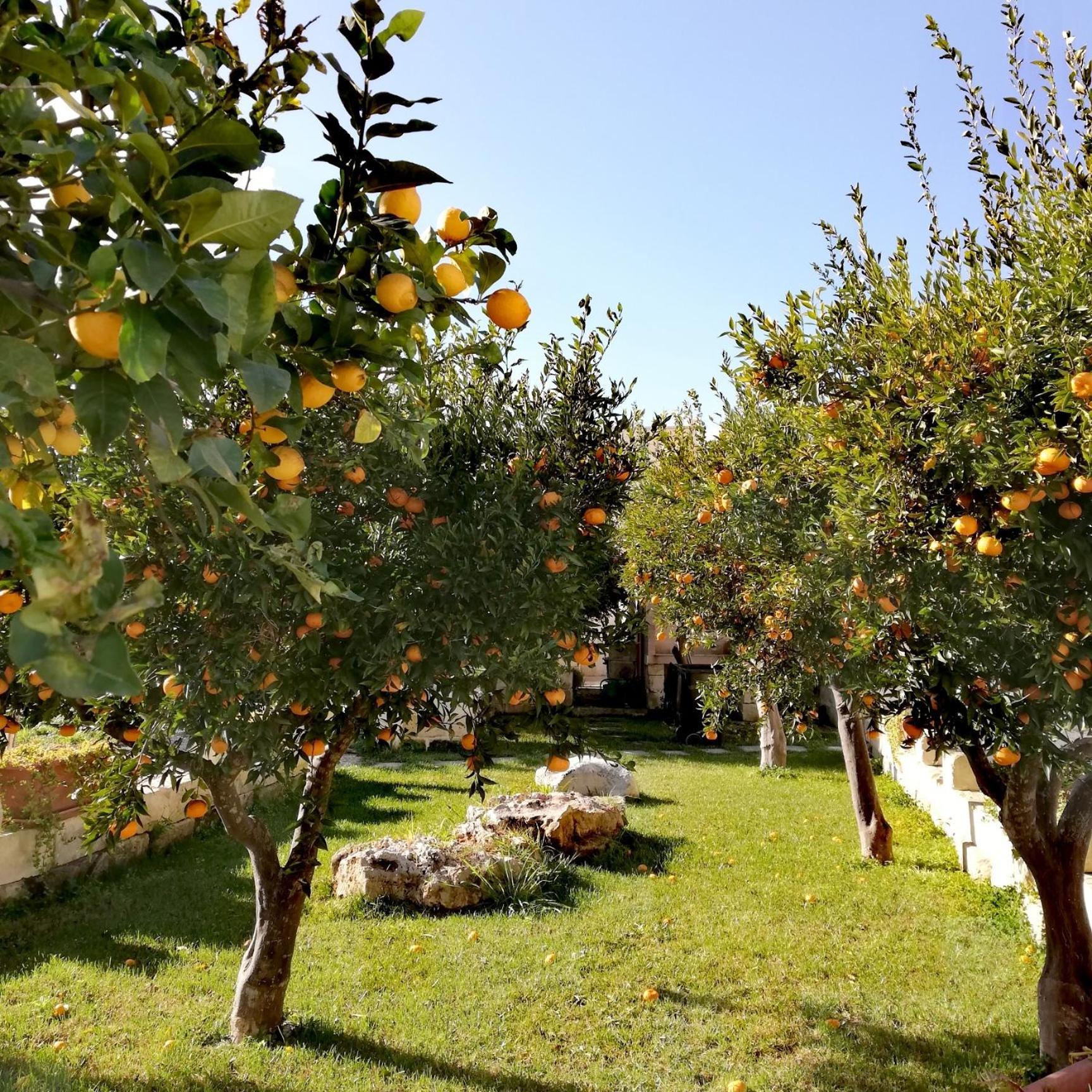 Ch Guest House Vernole Dış mekan fotoğraf